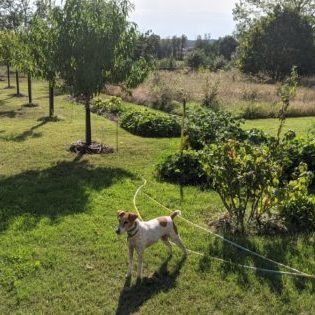 Weekend d'initiation à la permaculture à Yzeures sur Creuse