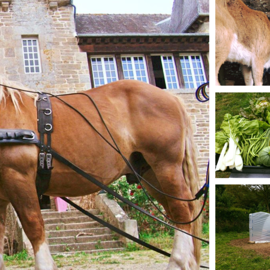 Weekend d'initiation à la permaculture au château de Brélidy