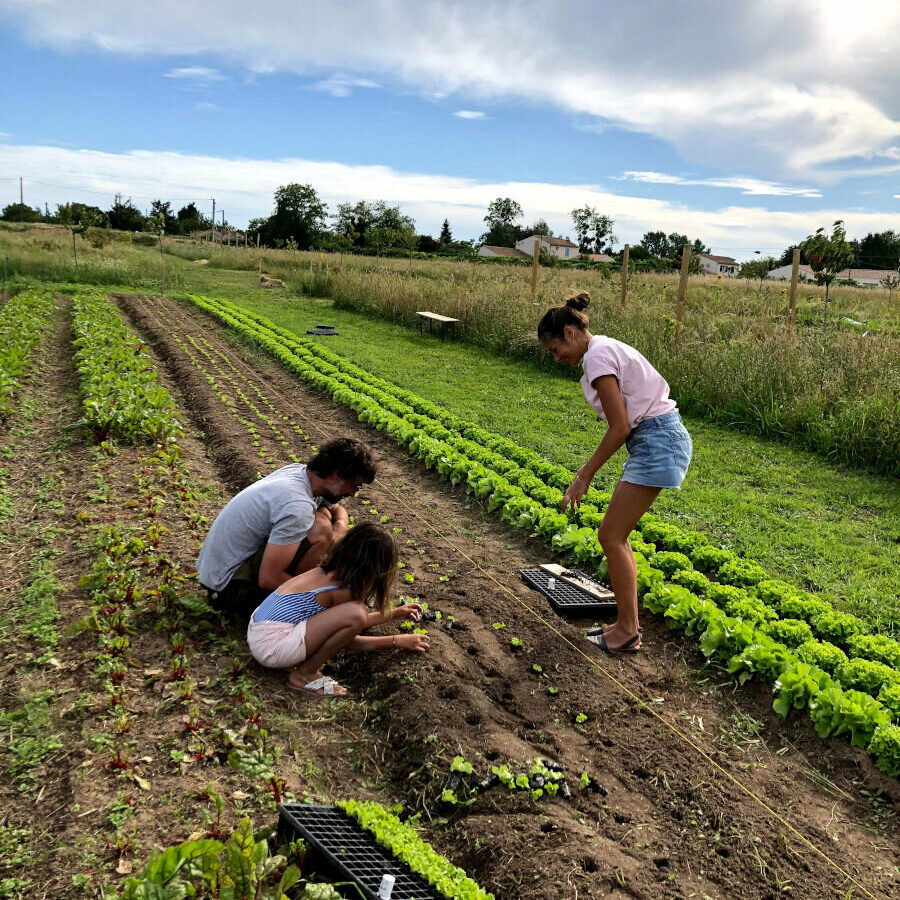 Apprendre la permaculture avec Le Jardin Qui Nourritles 19 et 20 mars 2022