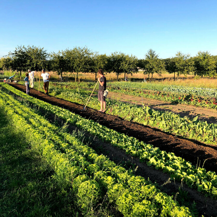 Weekend d'initiation à la permaculture à la ferme de Brouage les 19 et 20 mars 2022