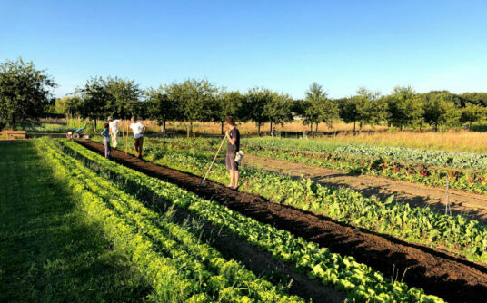 Apprendre à faire une planche de culture Ferme de Brouage - Le Jardin Qui Nourrit